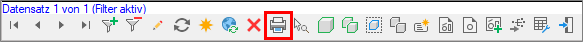 Formular_unterer Rand_Druckersymbol_für Berichte.png