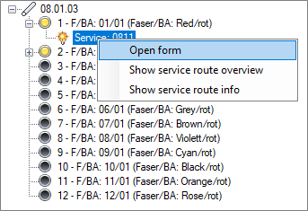 Formular_LWL_Kabel_Reg_Fasern_Kontextmenü_Dienst_engl.png