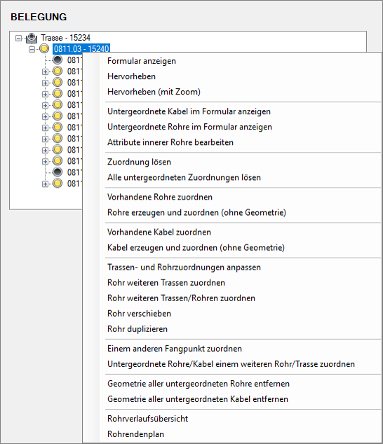 Formular_Trasse_Belegung_Kontextmenü_Rohr.png