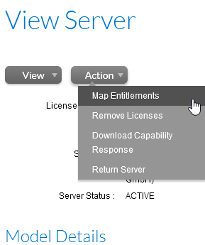 view_server.png
