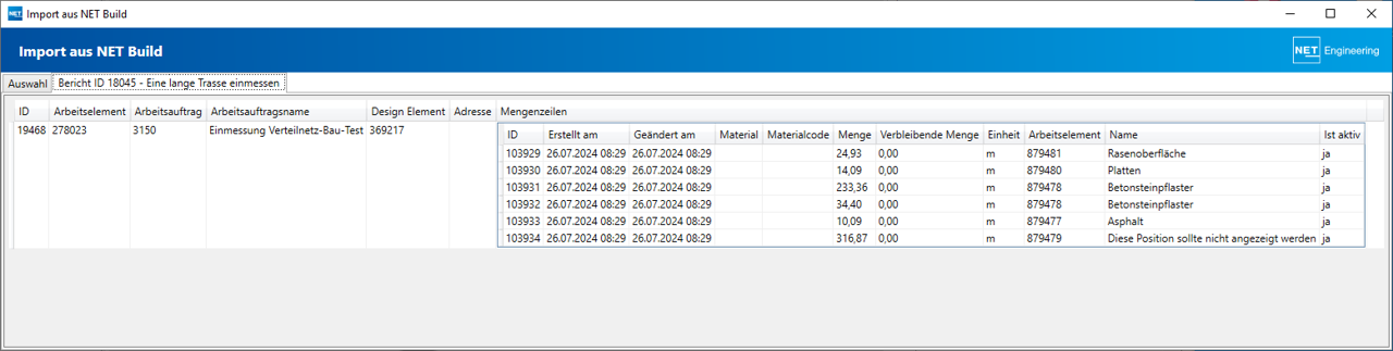 NET Build Import_Dialog_Auswahl_Bericht_Details.png