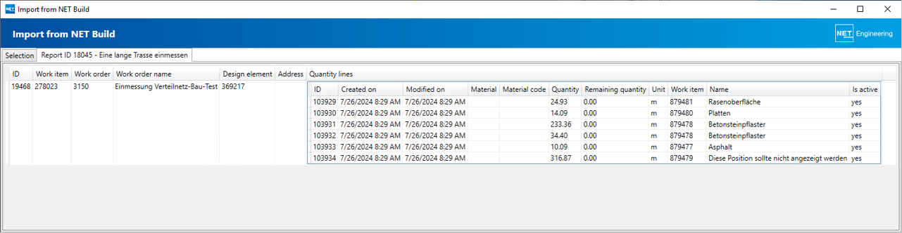 NET Build Import_Dialog_Auswahl_Bericht_Details_engl.png