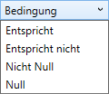 Filter_Bedingung_Ja-Nein.png