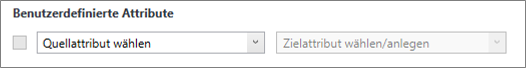 Attributszuordnung_benutzerdefinierte Attribute.png